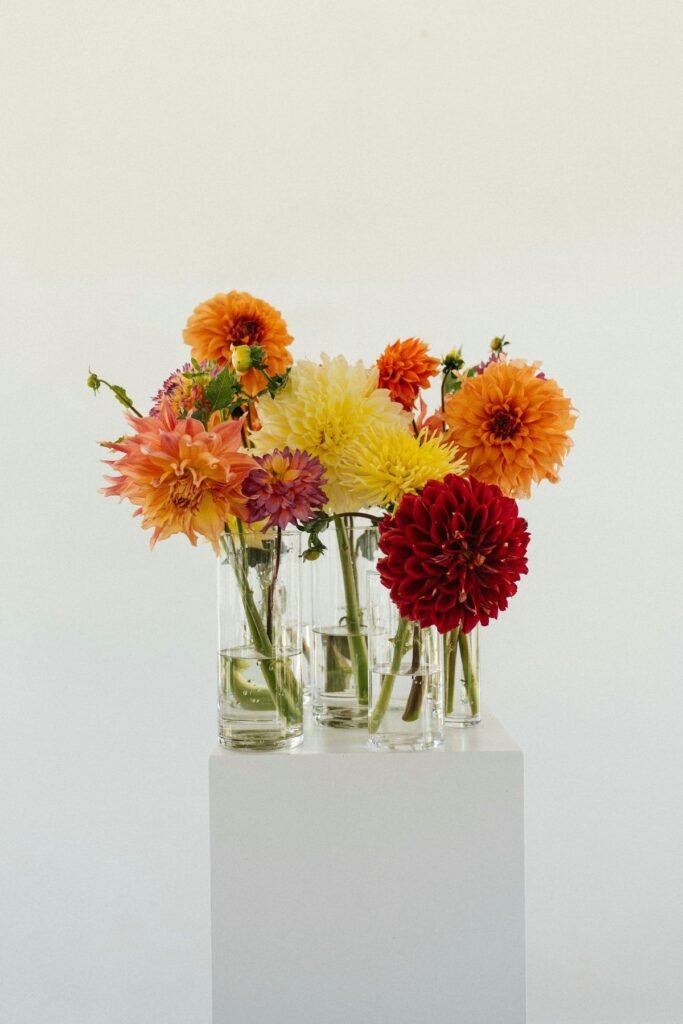 Dramatic dahlia blooms Valentine's Day bouquet